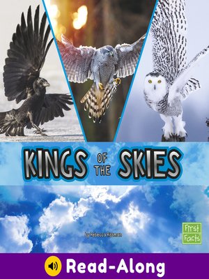 cover image of Kings of the Skies